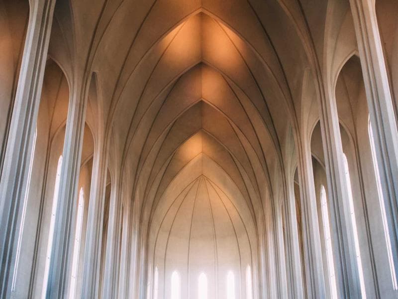 Forêt de chênes-lièges