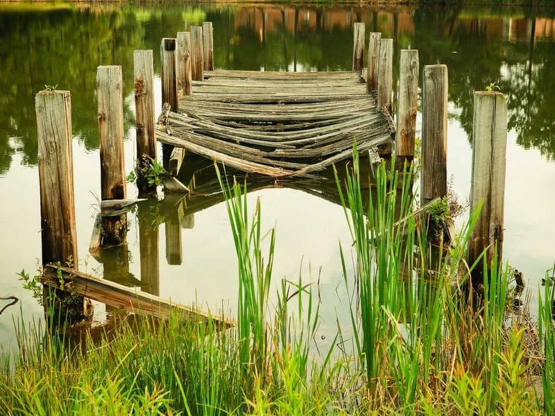 Lac du parc du Belvédère