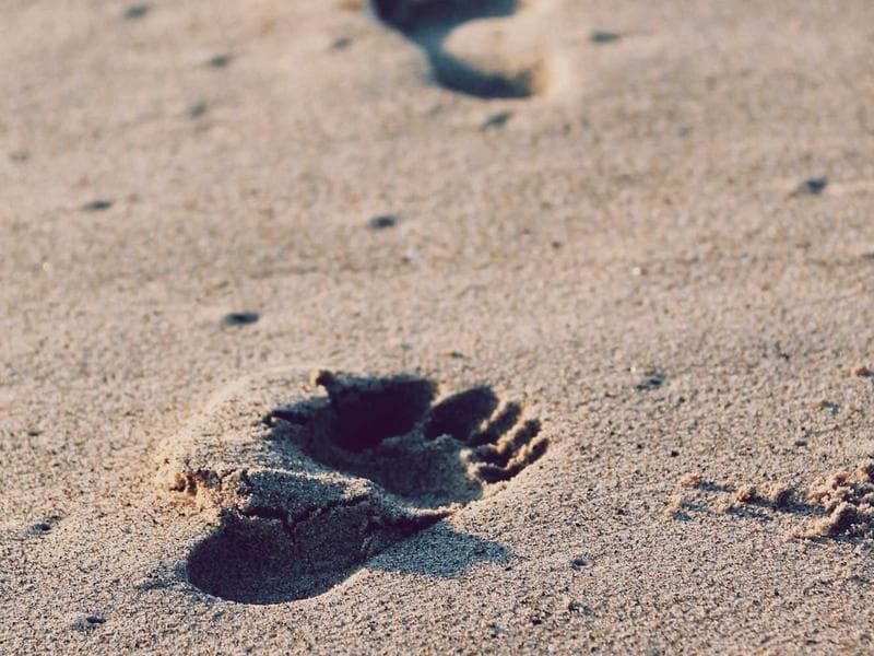 Vue depuis la maison de Bosco