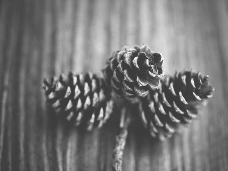 Dar Zmen, Djerba - Écomusée