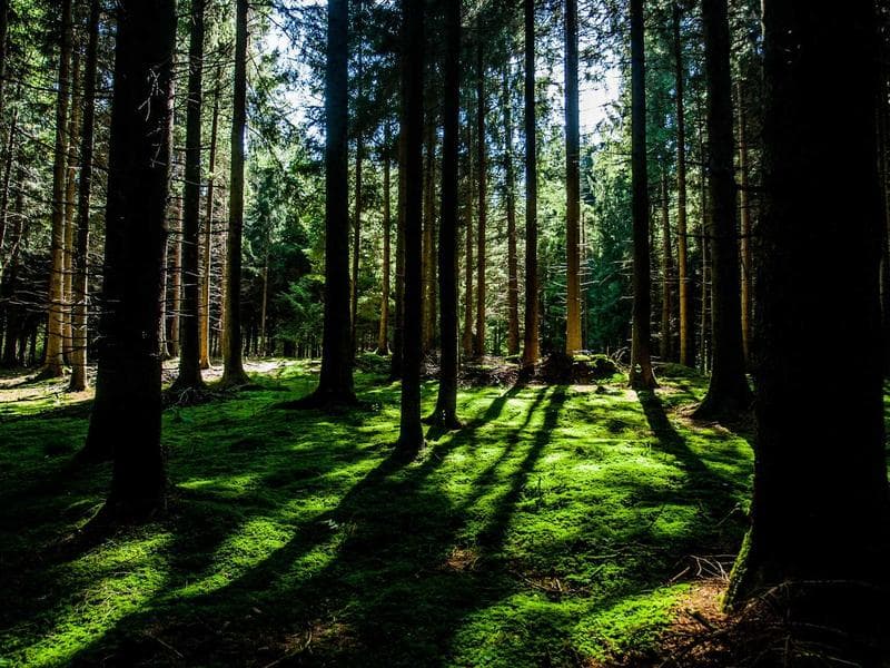 Amphithéâtre d'El Jem