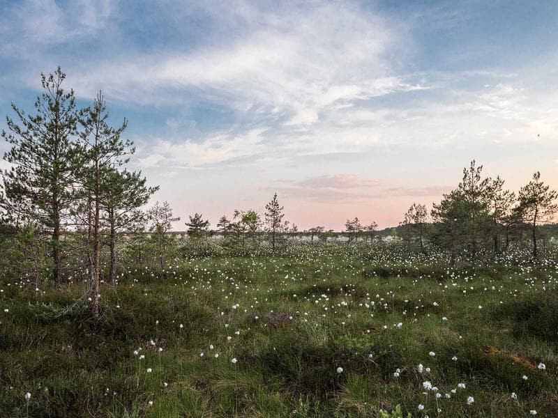 Le Village des Potiers de Guellala (Djerba)