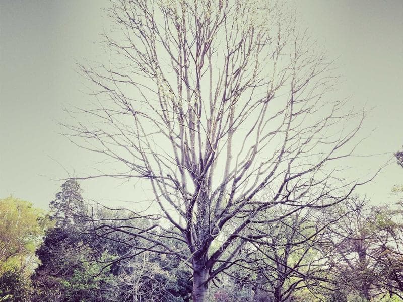 Bateau de pêche à Kerkennah