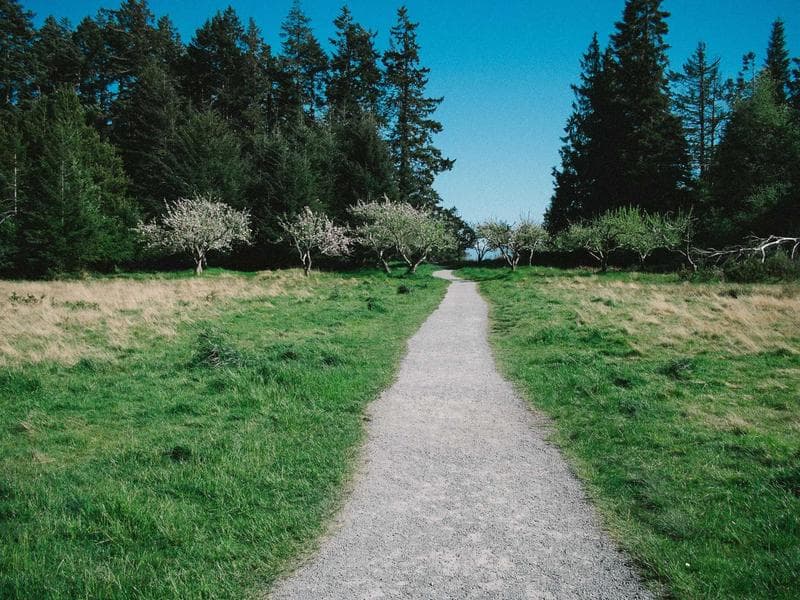 Paysage de la région de Sejnane