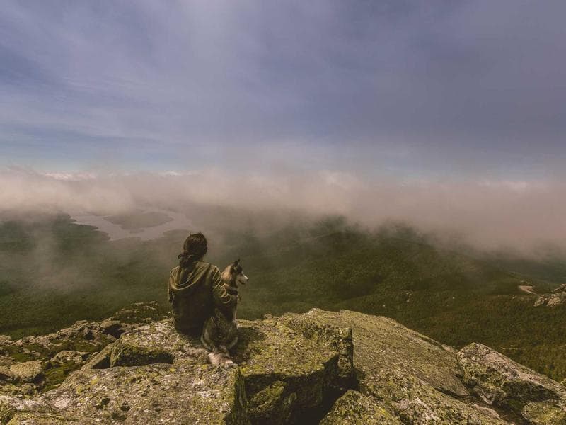 Journée à Sidi Bou Saïd & Carthage