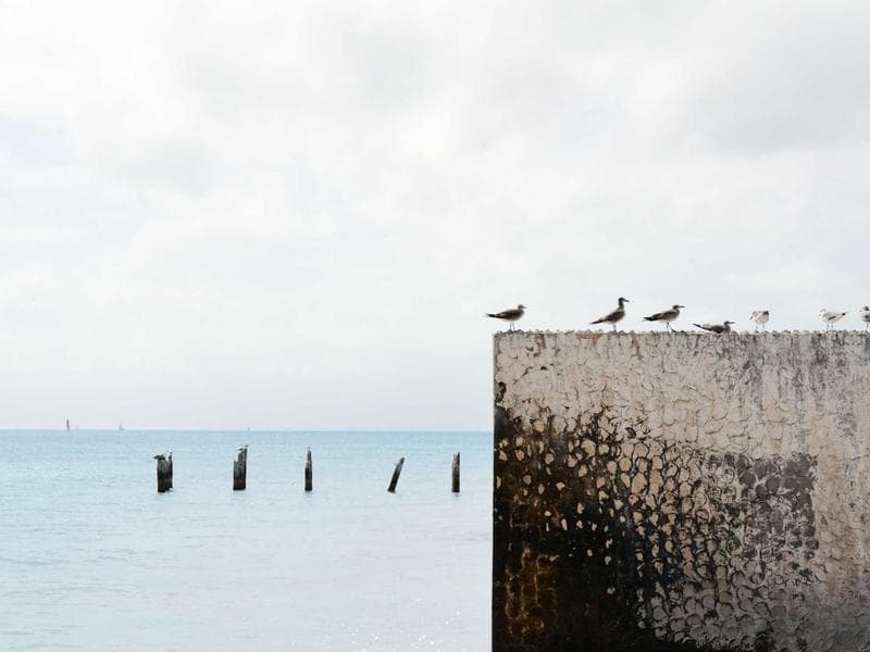 Salles du mausolée Tourbet El Bey